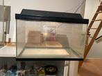 Klein aquarium, Dieren en Toebehoren, Ophalen, Leeg aquarium