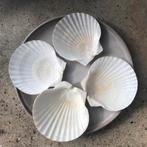 9x Grote Sintjacobschelpen, 14cm, Huis en Inrichting, Overige materialen, Ophalen of Verzenden, Zo goed als nieuw, Bord(en)