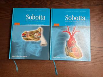 Sobotta:Atlas menselijke anatomie beschikbaar voor biedingen