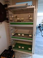 Van keulen Broedkooi 80x50x40, Dieren en Toebehoren, Ophalen, Zo goed als nieuw, Broedkooi of Kweekkooi