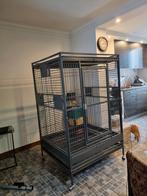Grote papegaaienkooi xl, Dieren en Toebehoren, Ophalen of Verzenden, Gebruikt, Metaal, Vogelkooi