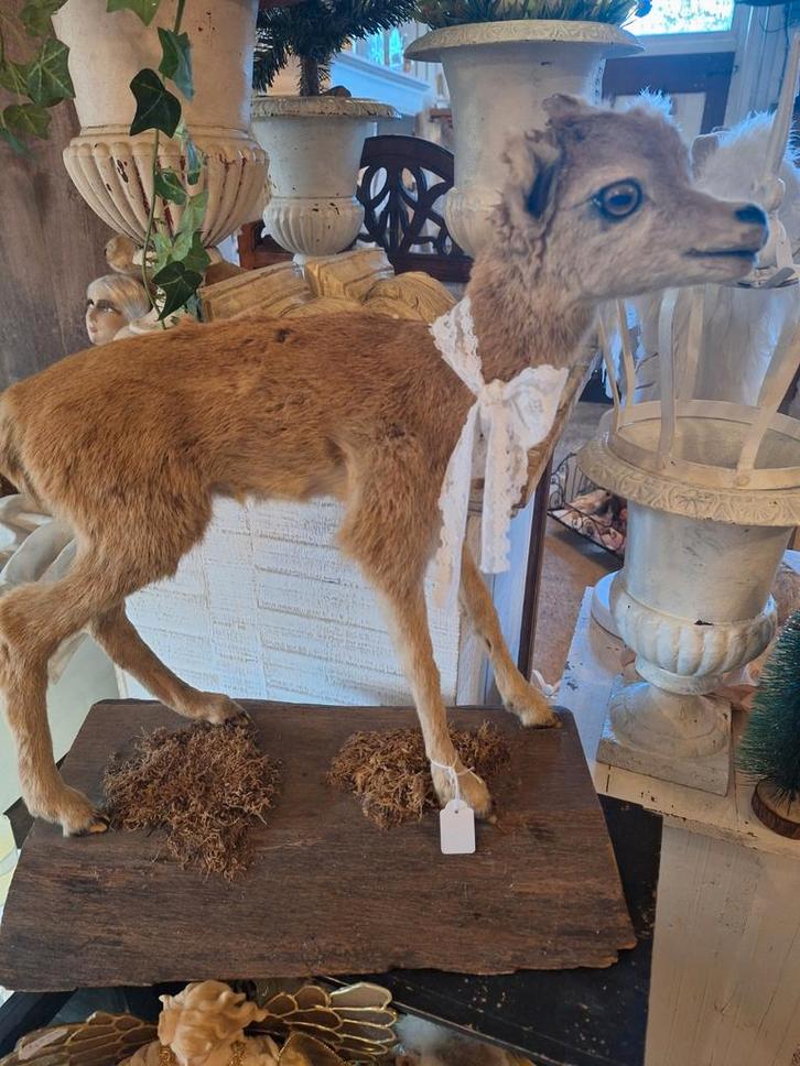 Lieve staande bambi, Antiek en Kunst, Curiosa en Brocante, Ophalen of Verzenden