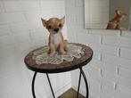 Beeldje Chihuahua, Ophalen of Verzenden, Zo goed als nieuw, Dier