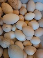 Ganzen en eendeneieren leeg, Hobby en Vrije tijd, Knutselen, Ophalen, Materiaal