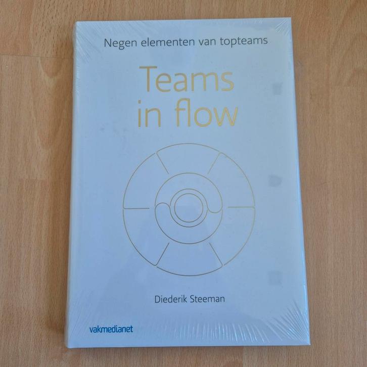 Diederik Steeman - Teams in flow, Boeken, Wetenschap, Nieuw, Sociale wetenschap, Ophalen of Verzenden