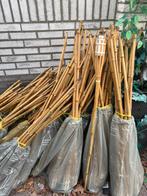 Langen Bamboe fakkels 100 stuks, Tuin en Terras, Ophalen of Verzenden, Gebruikt