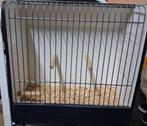 TT kooien, Dieren en Toebehoren, Ophalen, Zo goed als nieuw, Hout, Overige typen