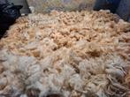 Grote ruwe vacht Schoonebeker voor spinnen, Ophalen of Verzenden