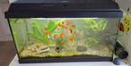 Juwel aquarium 60L, Ophalen, Zo goed als nieuw, Gevuld zoetwateraquarium