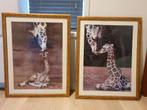 Poster giraffes, Zo goed als nieuw, Ophalen, 75 cm of meer