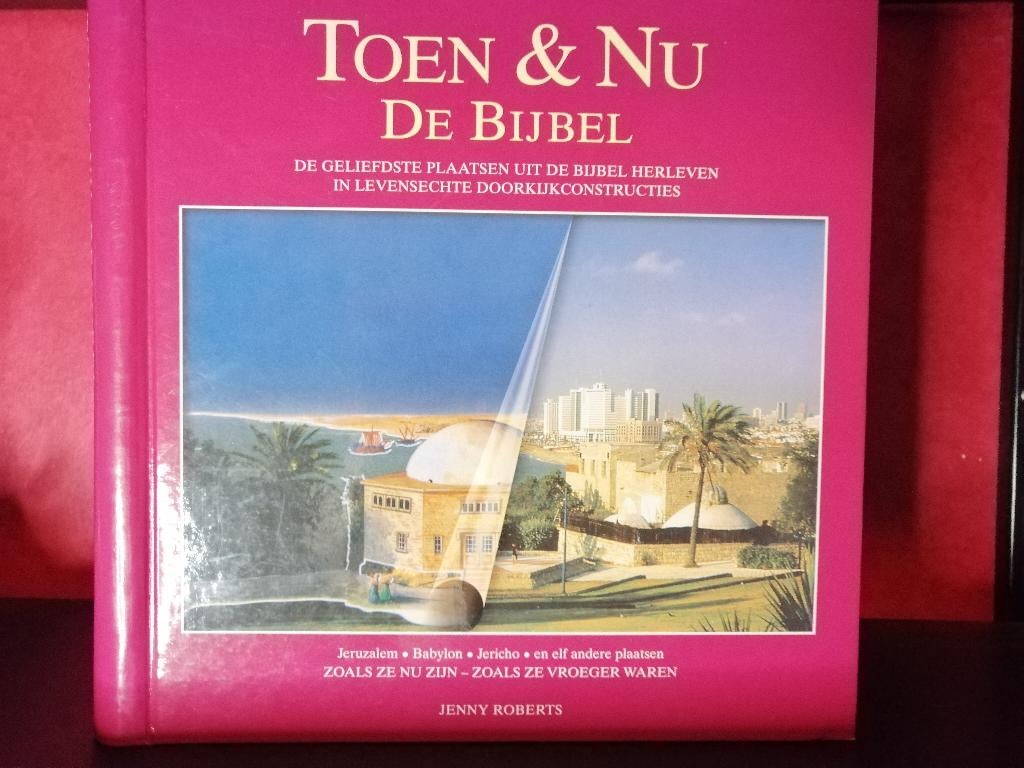 TOEN & NU De bijbel, Boeken, Verzenden, Zo goed als nieuw, Christendom | Katholiek