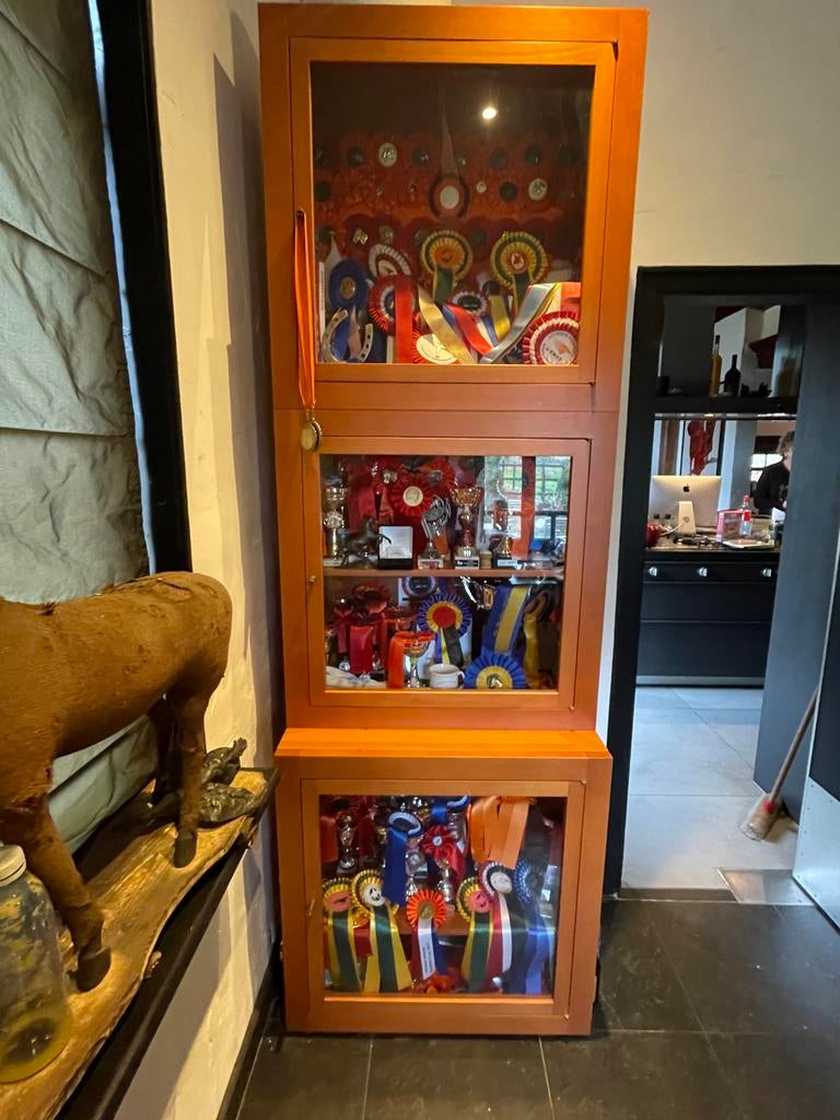 Kersenhouten Prijzenkast met 3 Compartimenten, Huis en Inrichting, Kasten | Vitrinekasten, Ophalen, Gebruikt, 200 cm of meer, 50 tot 100 cm