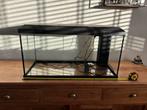 Aquarium, Dieren en Toebehoren, Ophalen, Leeg aquarium