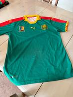 Voetbalshirts, vlag en pet Kameroen, Ophalen of Verzenden, Zo goed als nieuw, Overige maten, Voetbal