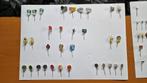 verzameling speldjes, Ophalen of Verzenden, Gebruikt, Overige onderwerpen, Speldje of Pin
