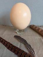 Groot Struisvogelei - Decoratief, Ophalen of Verzenden, Gebruikt