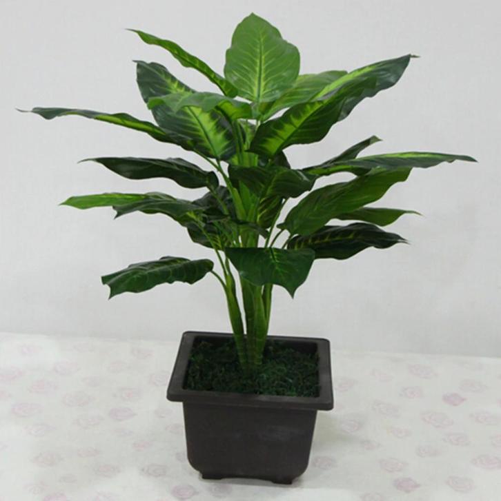 Kunst Evergreen Plant / Blad Sier Nep Plant Tuin Kunstplant, Huis en Inrichting, Woonaccessoires | Kunstplanten en Kunstbloemen