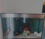 Ciano aquarium 100cm 60 cm hoog, Ophalen of Verzenden
