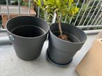 Elho Bloempotten 40cm - 2 stuks + schaal, Ophalen, Kunststof, Gebruikt, Balkon