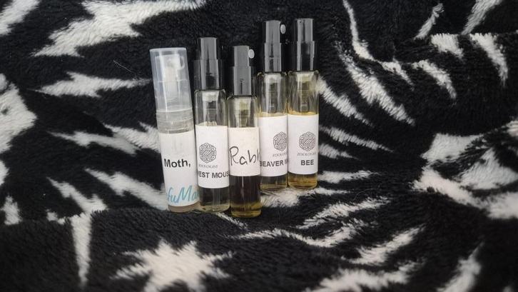 21x Parfum samples - o.a ELDO, Zoologist, Serge Lutens, FM, Sieraden, Tassen en Uiterlijk, Uiterlijk | Parfum, Gebruikt, Ophalen of Verzenden