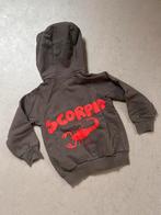 Mini Rodini sweater maat 98-104, Trui of Vest, Ophalen of Verzenden, Zo goed als nieuw, Jongen