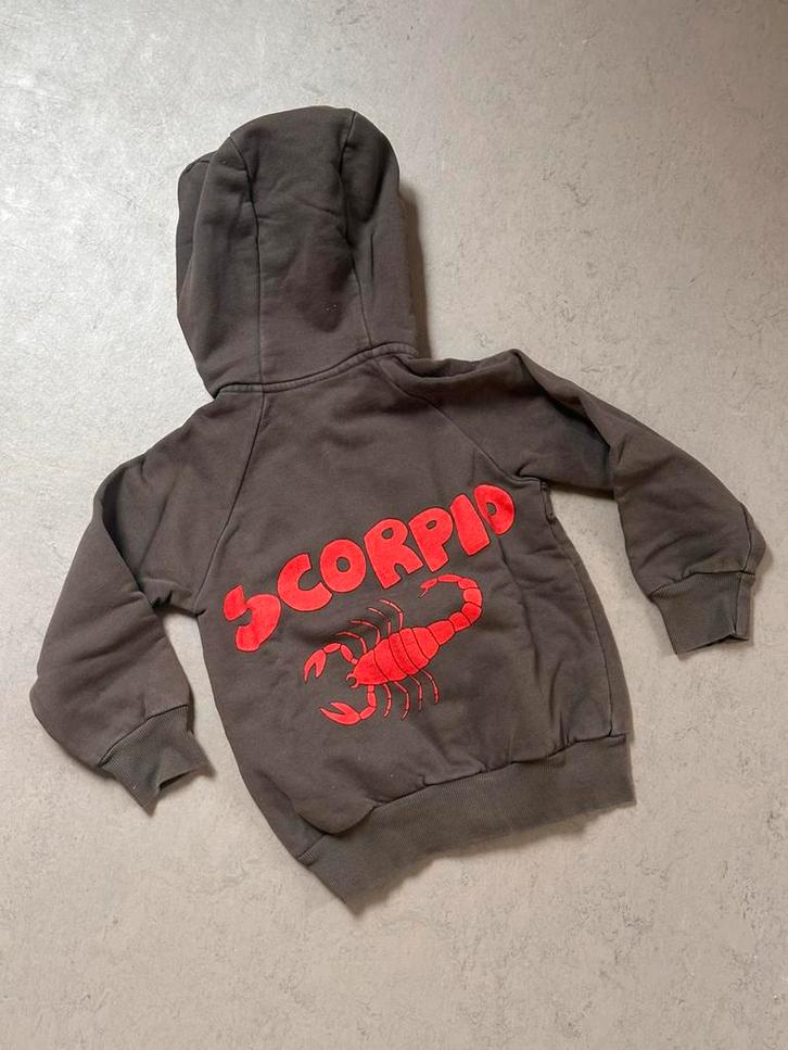 Mini Rodini sweater maat 98-104, Kinderen en Baby's, Kinderkleding | Maat 98, Zo goed als nieuw, Jongen, Trui of Vest, Ophalen of Verzenden