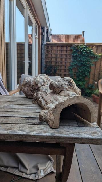 Teak tunnel voor knaagdieren of reptielen of decoratie stuk beschikbaar voor biedingen