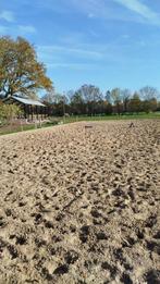 Gezocht: 4 paardenboxen/stalwanden, Dieren en Toebehoren, Stalling en Weidegang, Stalling, 4 paarden of pony's of meer