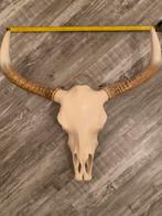 Dier schedel, Ophalen, Zo goed als nieuw