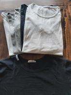 Dolce & Gabanna shirt 6 stuks zgan maat 12 jaar, Kinderen en Baby's, Kinderkleding | Maat 158, Ophalen of Verzenden, Zo goed als nieuw
