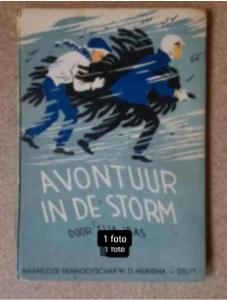 Avontuur in de Storm Elja Vlas N.V. W.D. Meinema Delft, Antiek en Kunst, Antiek | Boeken en Bijbels, Ophalen