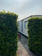 Caravan aan de kust te koop Rockanje, Caravans en Kamperen, Stacaravans, Tot en met 4