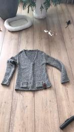 Nieuw vestje Moscow S  grijstinten, Kleding | Dames, Truien en Vesten, Ophalen of Verzenden, Nieuw