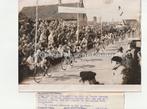 Etten wielrennen Ronde van Etten 1953 / Etten-Leur, Gebruikt, Verzenden, Foto, 1940 tot 1960