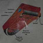 Hoover vaartuig rc, Ophalen of Verzenden