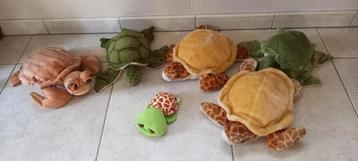 Knuffel waterschildpad    beschikbaar voor biedingen