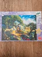 Disney puzzel 1000 stukjes, Ophalen, Gebruikt