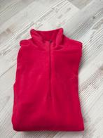 Skipully van Falcon maat S, Kleding | Dames, Wintersportkleding, Ophalen, Zo goed als nieuw, Maat 36 (S), Jack