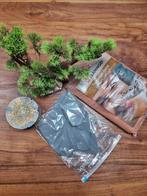 Terrarium spullen, Ophalen, Nieuw, Terrarium of Paludarium