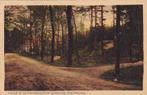 Ansichtkaart 1922 Doetinchem Kruisbergsche bosschen, Ophalen of Verzenden, 1920 tot 1940, Gelopen, Gelderland