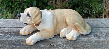 Grote Hoedenplank Hond XXL - Golden Retriever Look beschikbaar voor biedingen