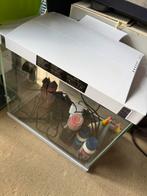 Aquarium, Dieren en Toebehoren, Vissen | Aquaria en Toebehoren, Ophalen, Gebruikt, Leeg aquarium