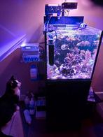 Zeeaquarium redsea nano, Dieren en Toebehoren, Ophalen