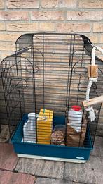 Vogelkooi, Dieren en Toebehoren, Ophalen of Verzenden, Zo goed als nieuw, Metaal, Vogelkooi