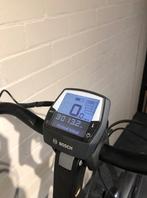 Pegasus Siena Dames Bleu 55cm 2020, Overige merken, Gebruikt, -, - 0
-, NL