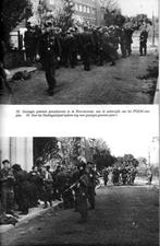 WO2 ~ Market Garden ~ Arnhem 1944 ~ De Zwarte Herfst, Verzenden, Tweede Wereldoorlog, Gelezen