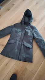 Airforce Winterjas dames maat s izgst, Airforce, Ophalen of Verzenden, Zo goed als nieuw, Groen