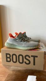 YEEZY BOOST 350 V2 Desert Sage, Kleding | Heren, Schoenen, Nieuw, Ophalen of Verzenden, Yeezy, Sneakers of Gympen