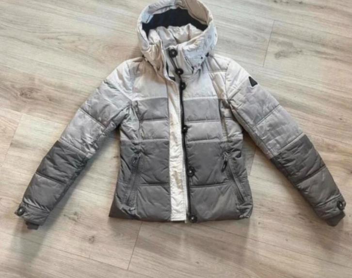 Winterjas Gaastra, Kleding | Dames, Jassen | Winter, Zo goed als nieuw, Maat 34 (XS) of kleiner, Grijs, Ophalen of Verzenden