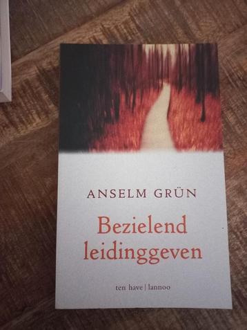 Anselm Grün - Bezielend leidinggeven beschikbaar voor biedingen